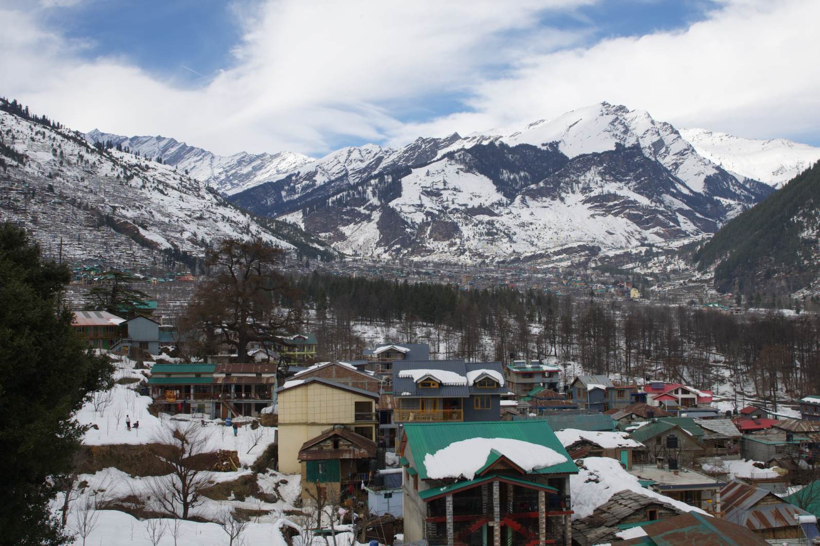 Best Pet Friendly Cottages in Manali